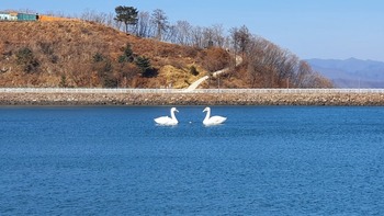 메인사진